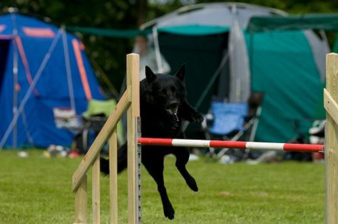 agility