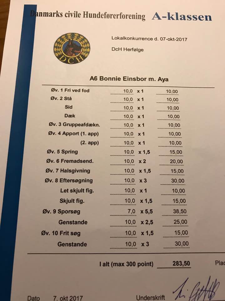 aya 2017