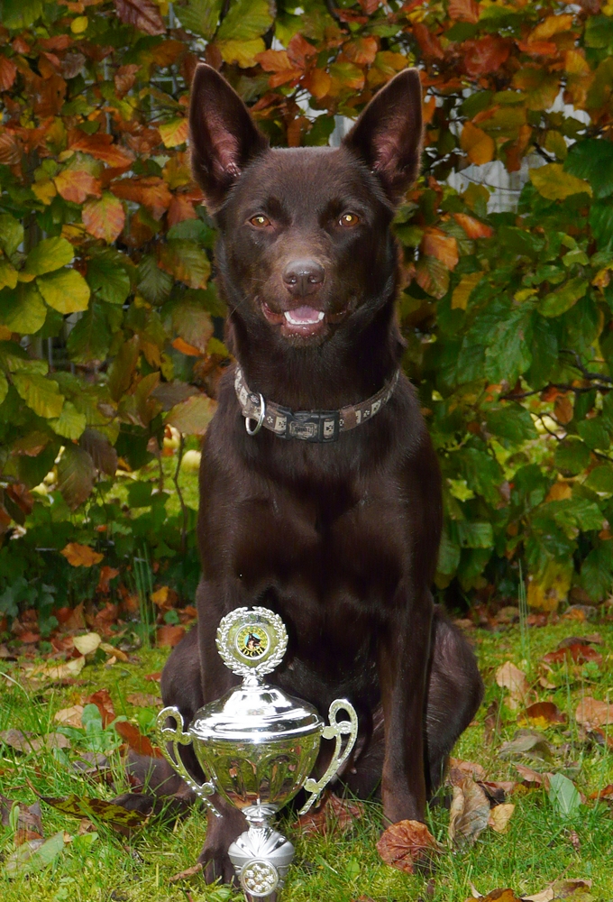 tarrawangas coco pokal