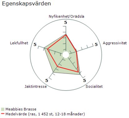 brasse mh