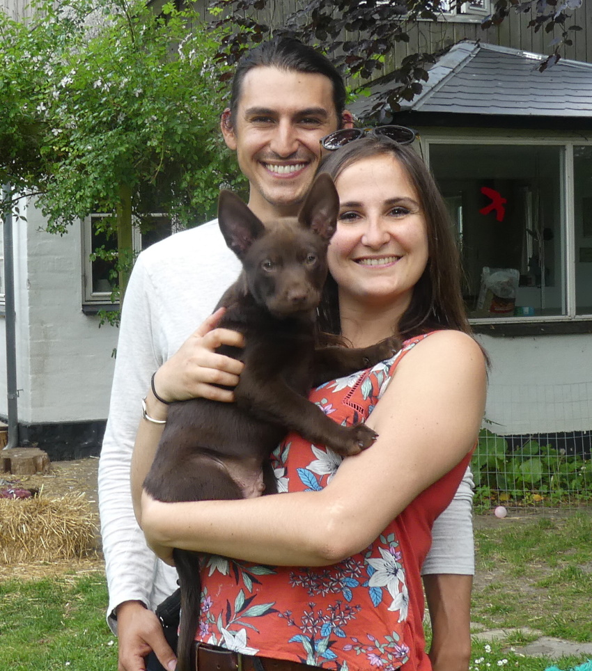 tarrawangas gamgee 8uger