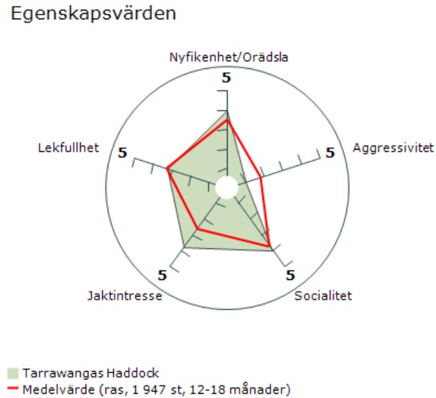 MH spindel