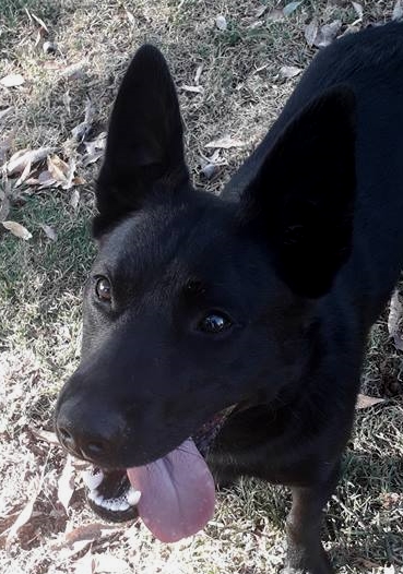 sandsprite secret liasons 1