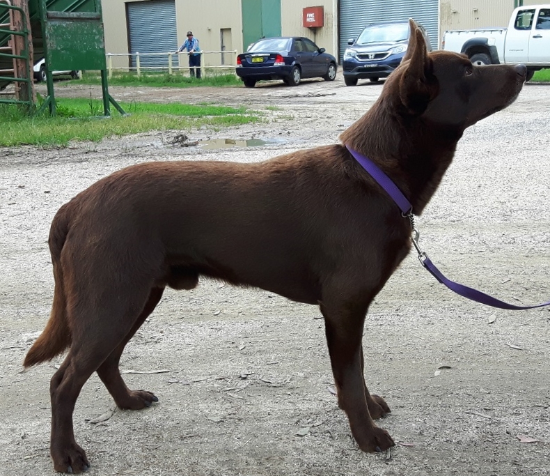 suthenskys single n luvn it