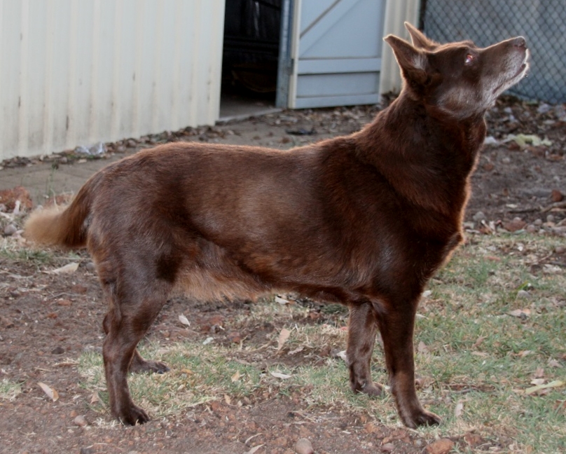 suthenskys supernatural